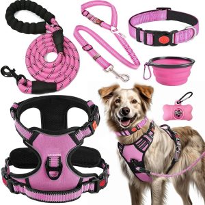 No Pull Dog Harness, Collar & Leash Set